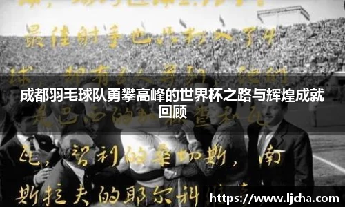 成都羽毛球队勇攀高峰的世界杯之路与辉煌成就回顾